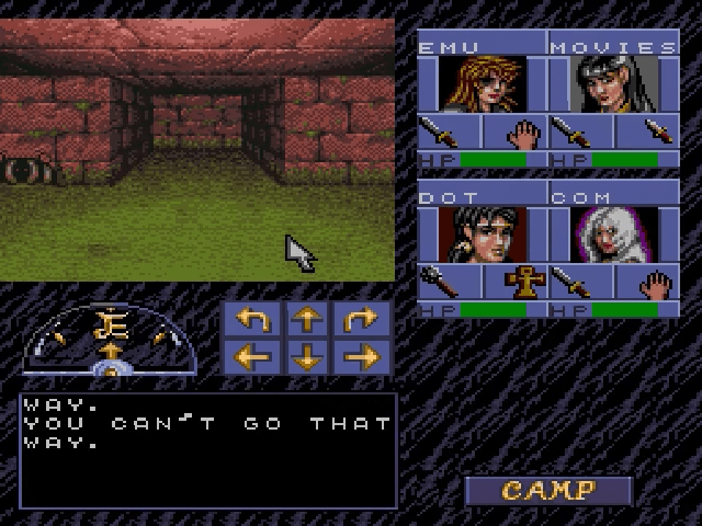Advanced Dungeons and Dragons Eye of the Beholder