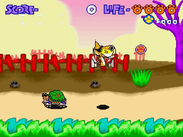 Chester Cheetah Too Cool to Fool