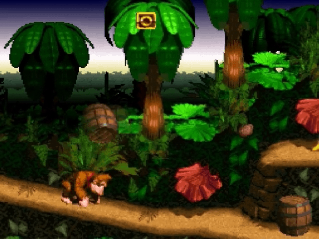 Donkey Kong Country