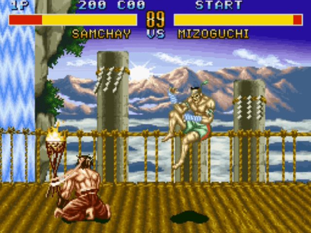 Fighters History
